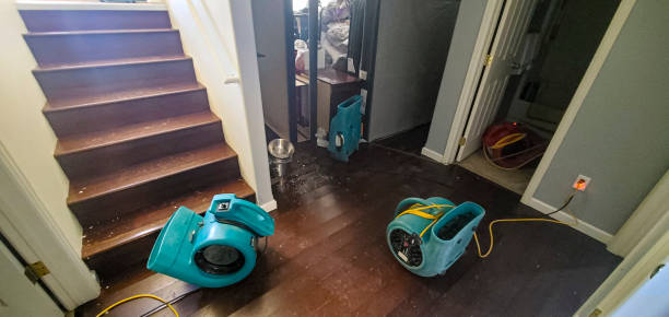 Best 24/7 water damage repair  in Ocilla, GA