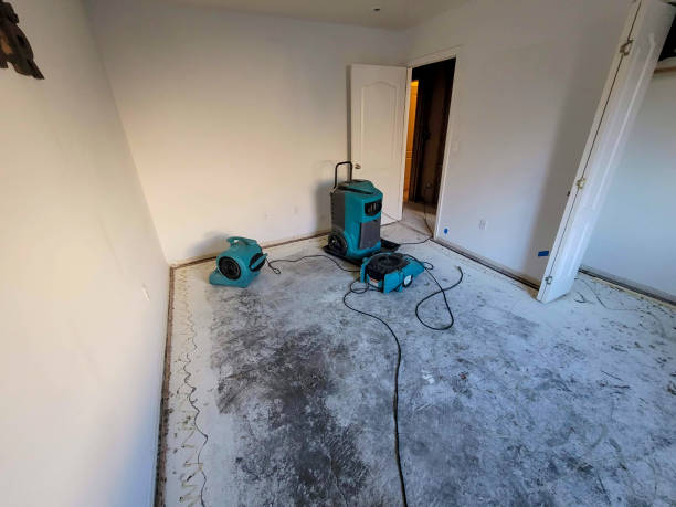 Best Emergency water damage restoration  in Ocilla, GA