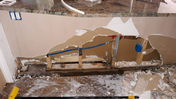 Best Mold removal after water damage  in Ocilla, GA