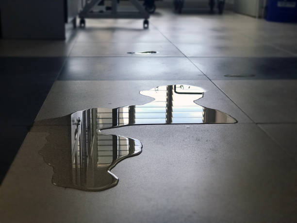 Best Professional water damage repair  in Ocilla, GA