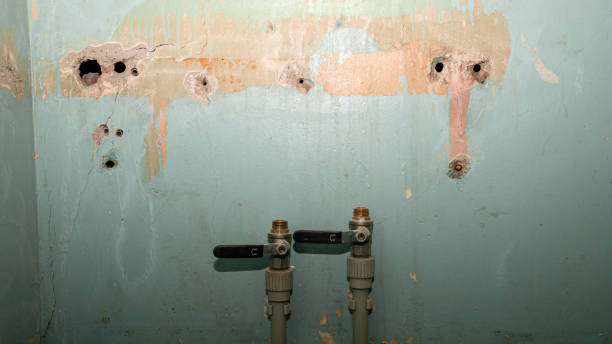 Best Flood restoration services  in Ocilla, GA