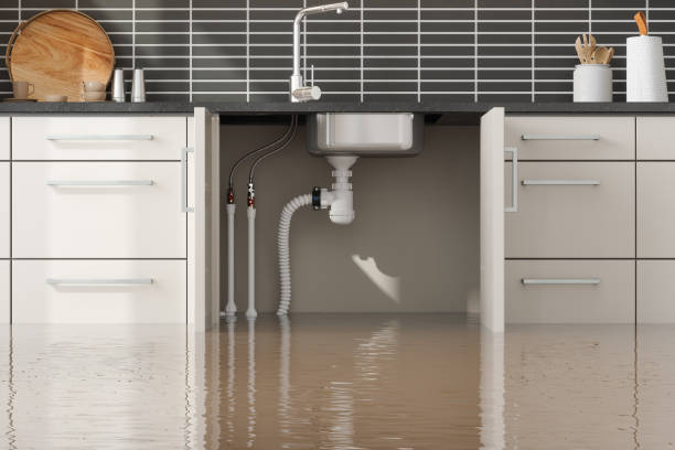 Best 24-hour water damage restoration  in Ocilla, GA